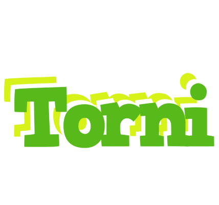 Torni picnic logo