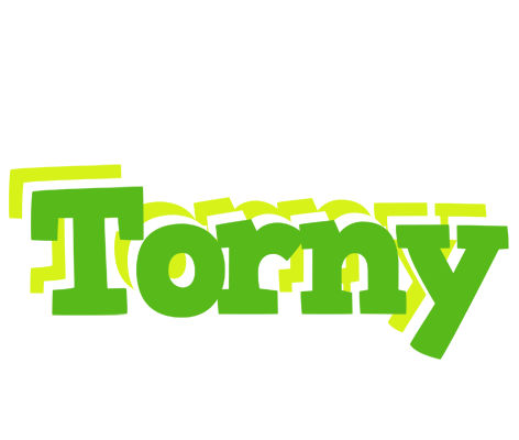 Torny picnic logo