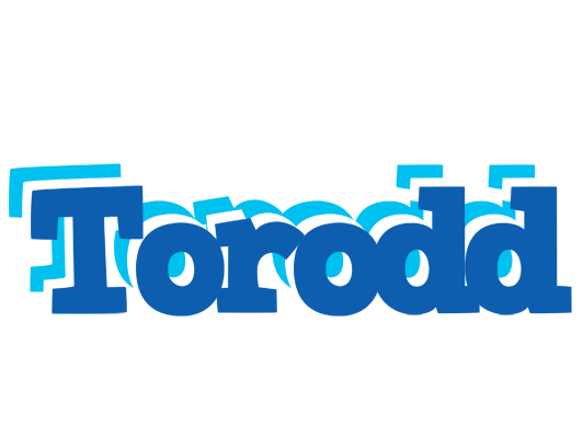 Torodd business logo