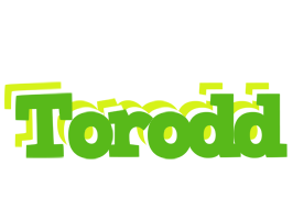 Torodd picnic logo