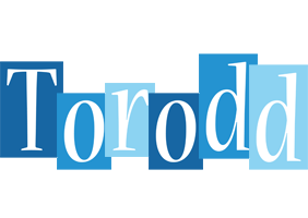 Torodd winter logo