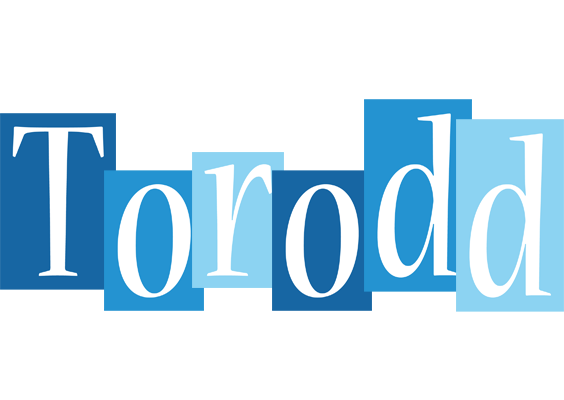 Torodd winter logo