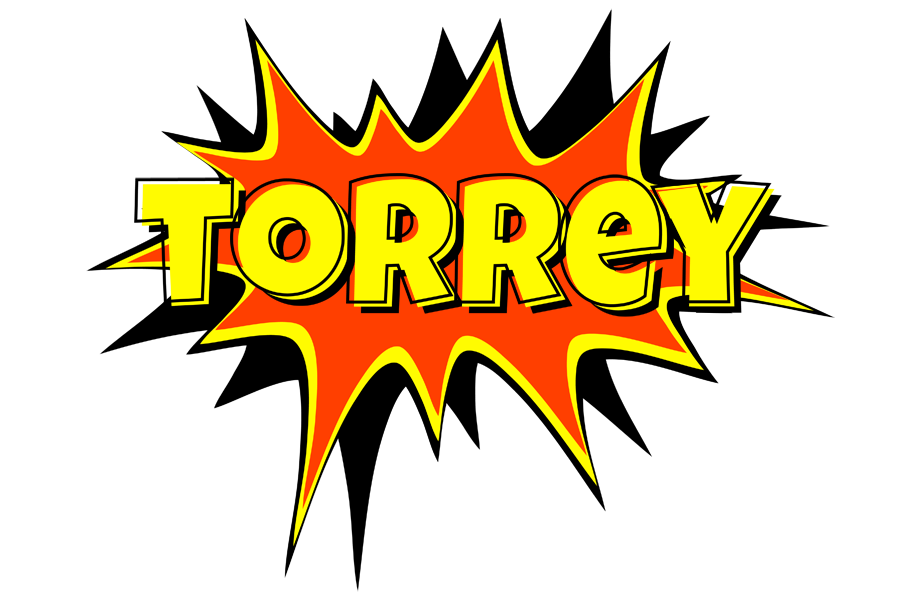 Torrey bazinga logo