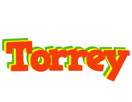 Torrey bbq logo