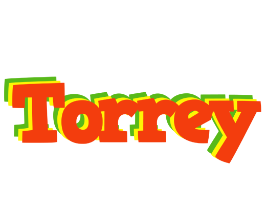 Torrey bbq logo