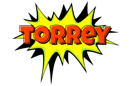 Torrey bigfoot logo
