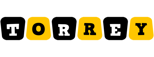Torrey boots logo
