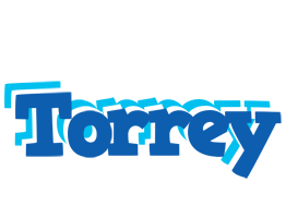 Torrey business logo