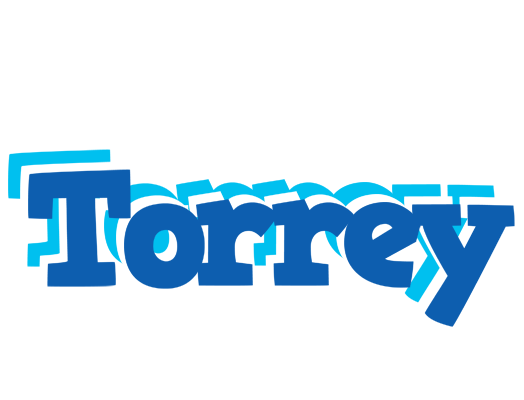 Torrey business logo