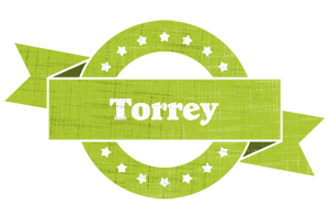 Torrey change logo