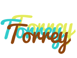 Torrey cupcake logo