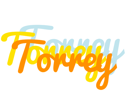 Torrey energy logo