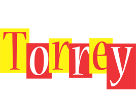 Torrey errors logo