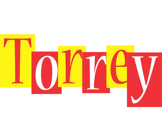 Torrey errors logo
