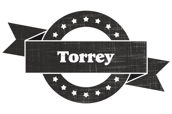 Torrey grunge logo
