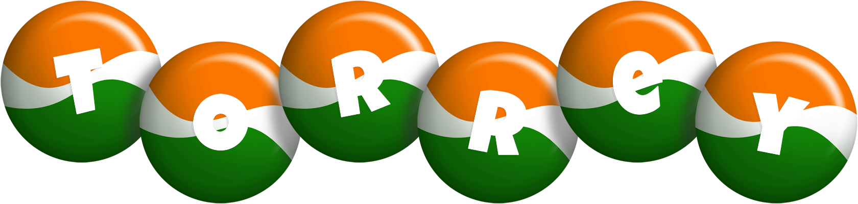 Torrey india logo