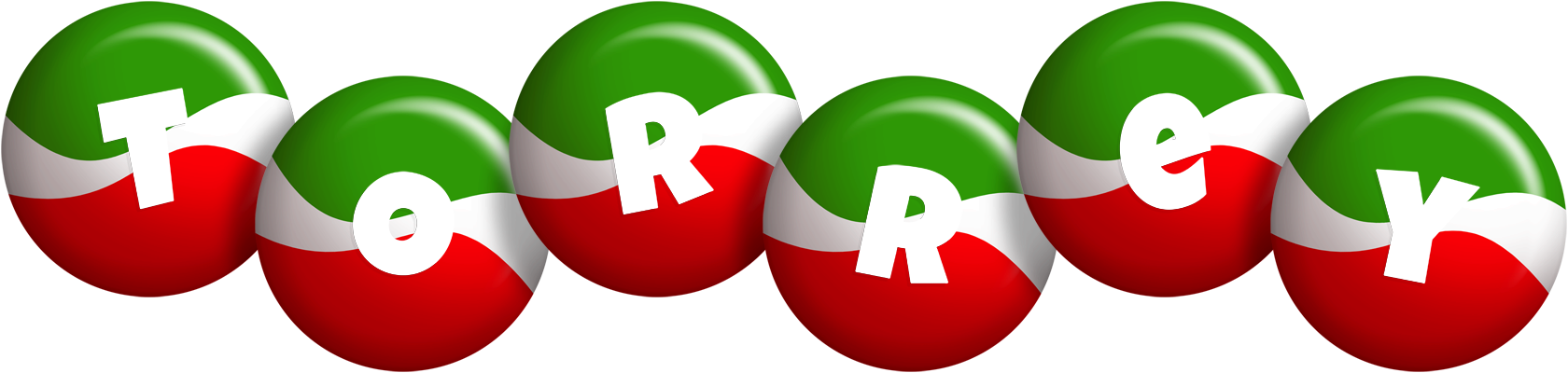 Torrey italy logo