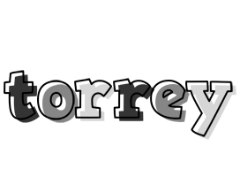 Torrey night logo