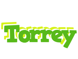 Torrey picnic logo