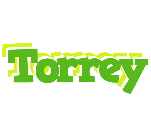 Torrey picnic logo