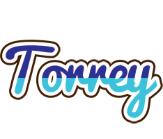 Torrey raining logo