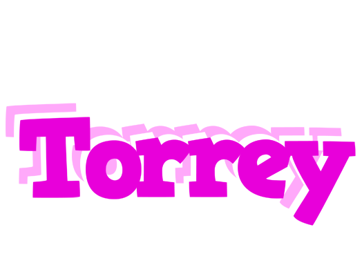 Torrey rumba logo