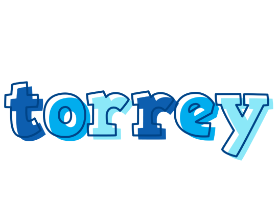 Torrey sailor logo