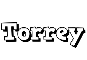 Torrey snowing logo