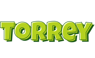 Torrey summer logo