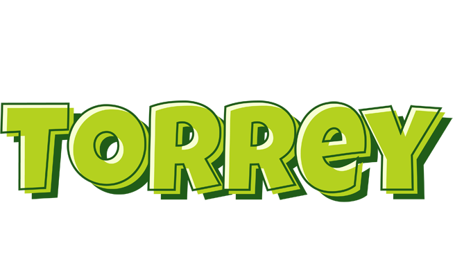 Torrey summer logo