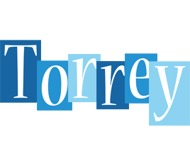 Torrey winter logo