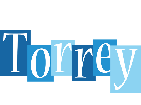 Torrey winter logo