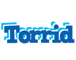 Torrid business logo