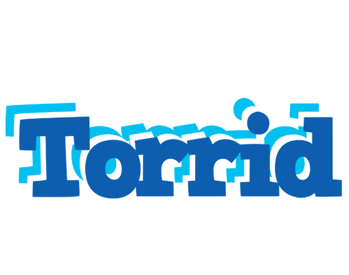 Torrid business logo