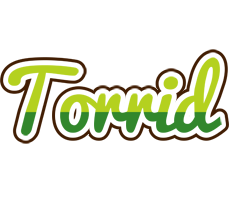 Torrid golfing logo