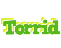 Torrid picnic logo