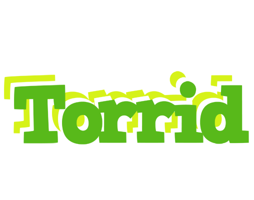Torrid picnic logo