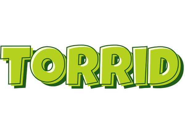 Torrid summer logo