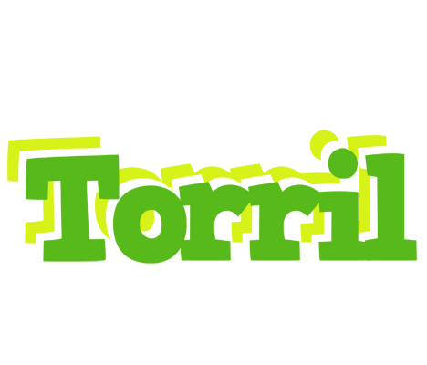 Torril picnic logo