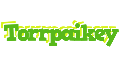 Torrpaikey picnic logo