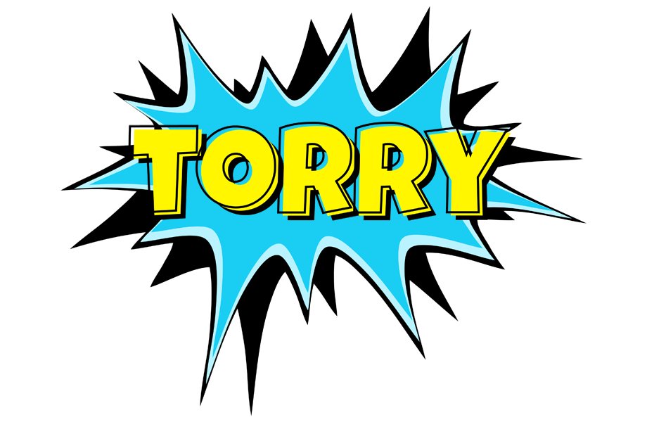 Torry amazing logo