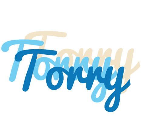 Torry breeze logo
