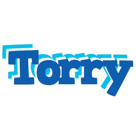 Torry business logo