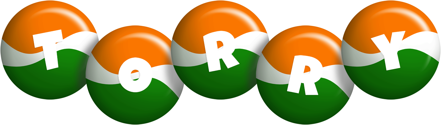 Torry india logo
