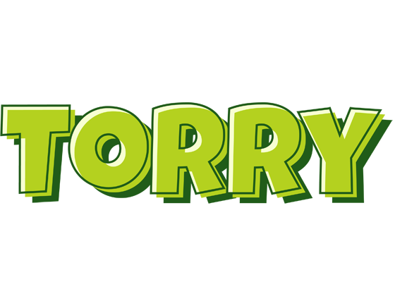 Torry summer logo