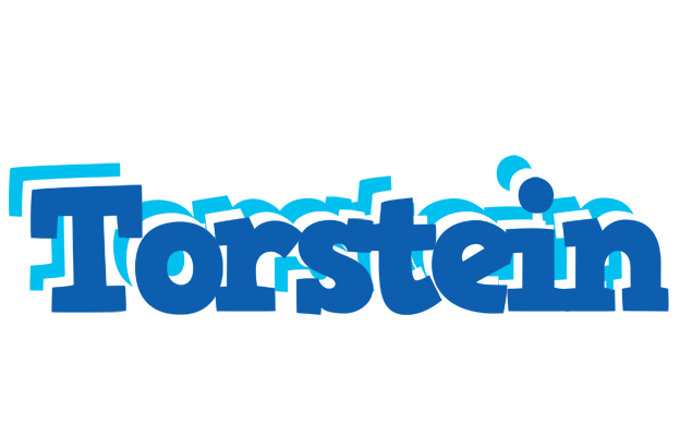 Torstein business logo