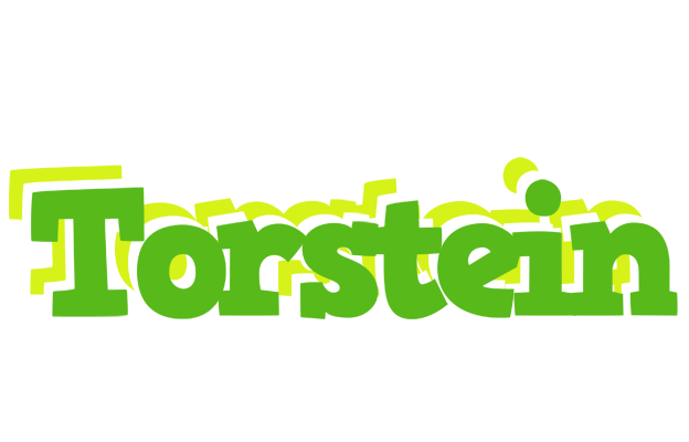 Torstein picnic logo