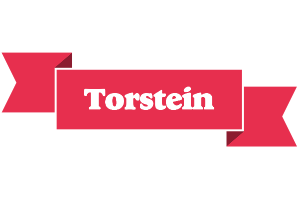 Torstein sale logo