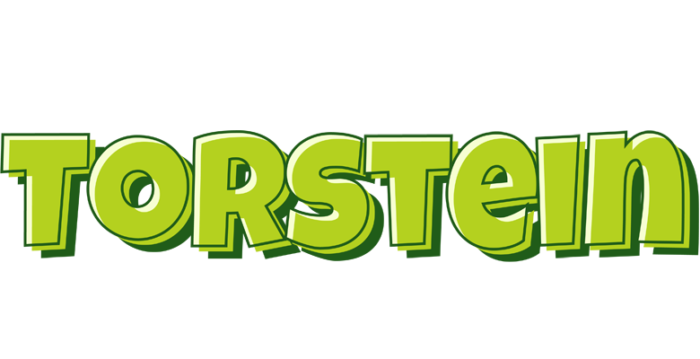 Torstein summer logo