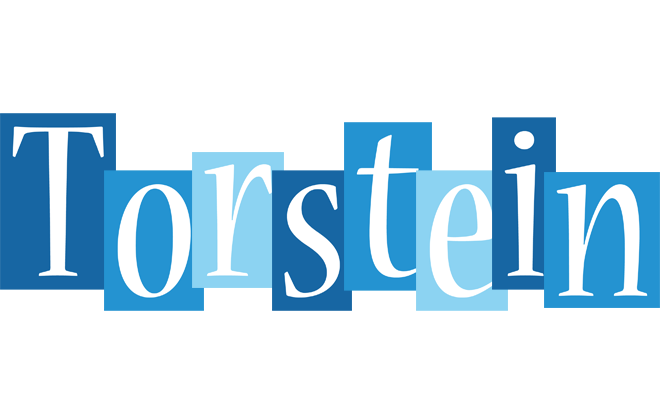 Torstein winter logo